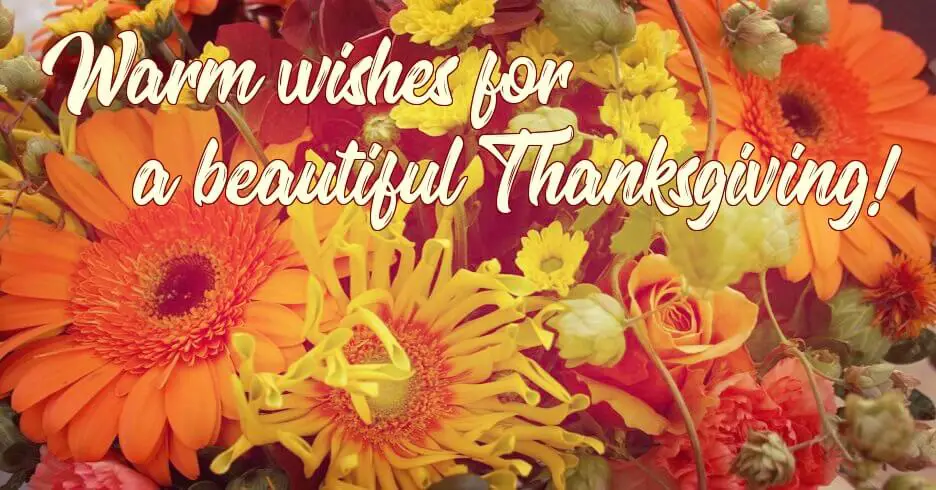 Warm Thanksgiving wishes card with autumn flowers