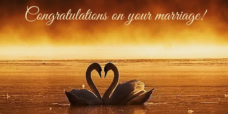 Free card with marriage congratulations