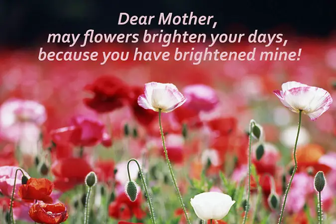 Card to mother on mother's day
