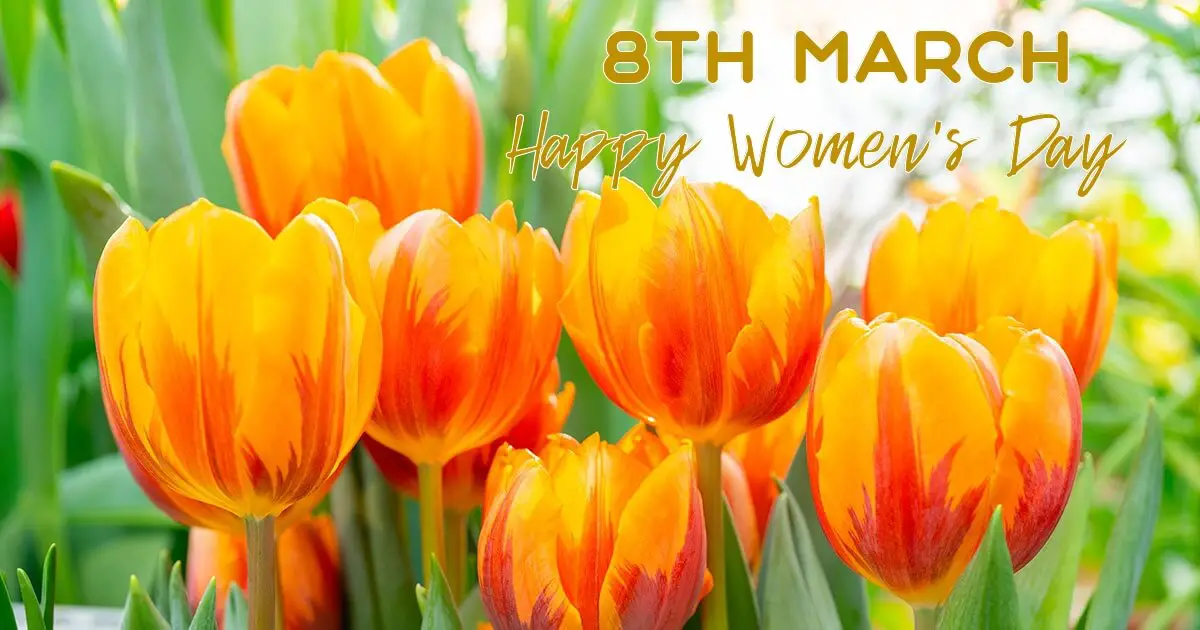 congratulations on international women's day march 8th ecard