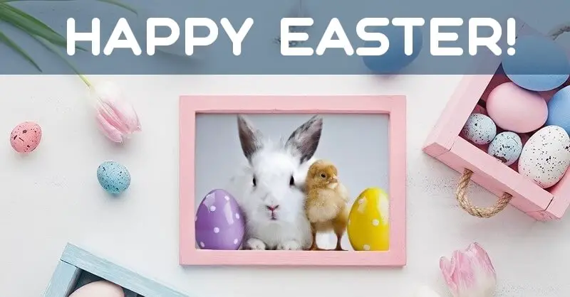 Happy Easter Card with bunny and chicken