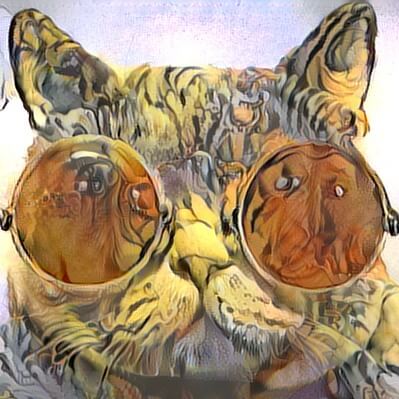Funny Serious Cat in Glasses