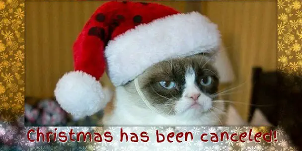 Christmas has been canceled card with a funny cat