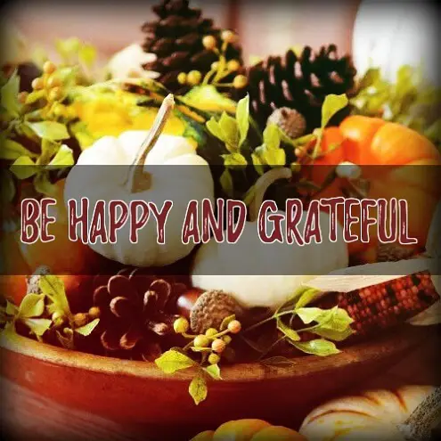 Have a happy and grateful thanksgiving cards