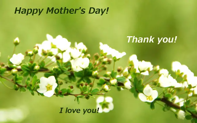 Mother's day ecard with wishes